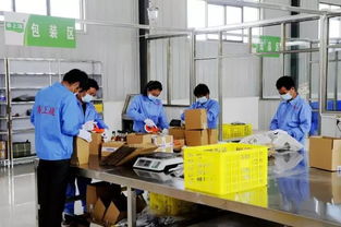 電商筑夢(mèng)，振興鄉(xiāng)村 徽縣電子商務(wù)平臺(tái)開發(fā)運(yùn)營(yíng)助力脫貧攻堅(jiān)