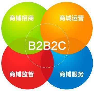 B2B2C商城盈利之道 從系統(tǒng)開發(fā)到精細化運營的全景策略
